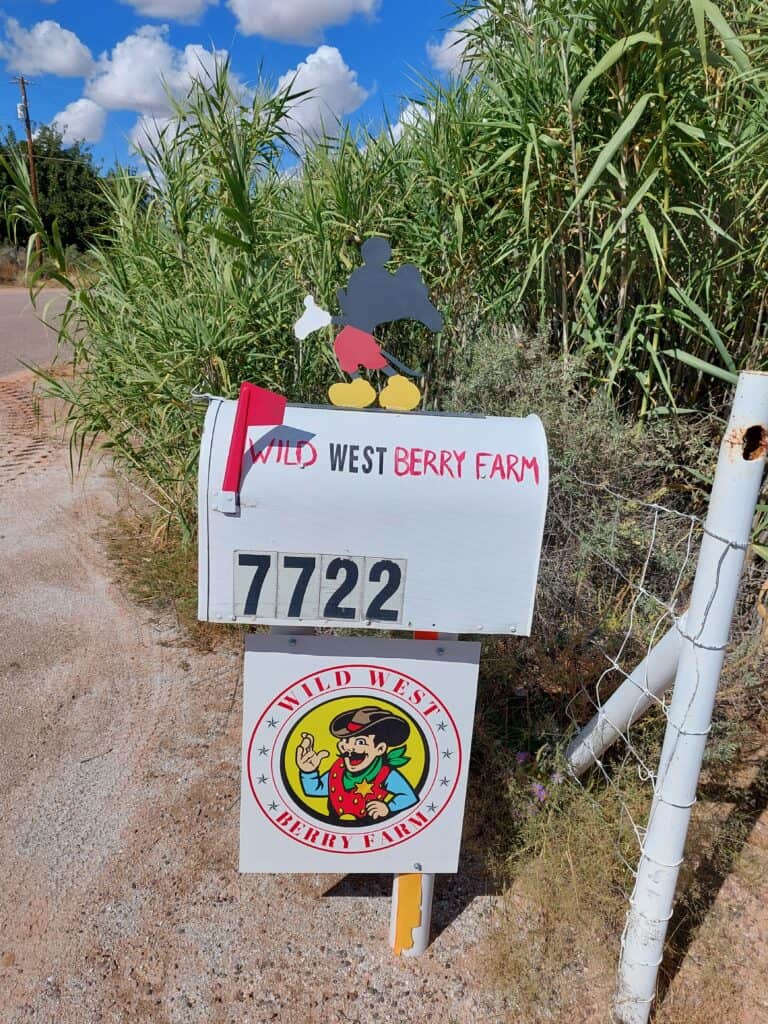 Wild West Berry Farm mailbox and sign at 7722 Kissiah Drive